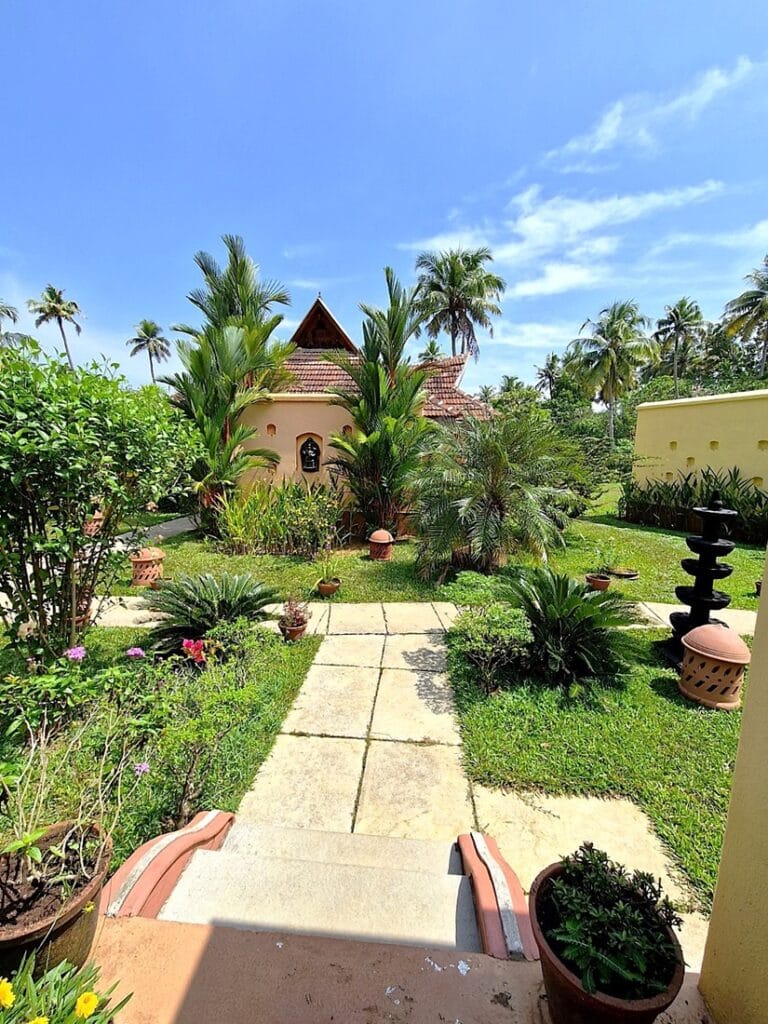 Ameya - Kohti avaraa maailmaa