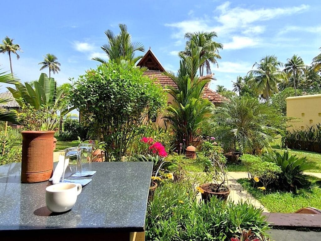 Ameya - Kohti avaraa maailmaa