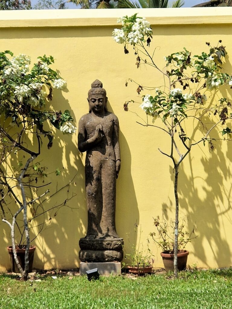 Ameya - Kohti avaraa maailmaa