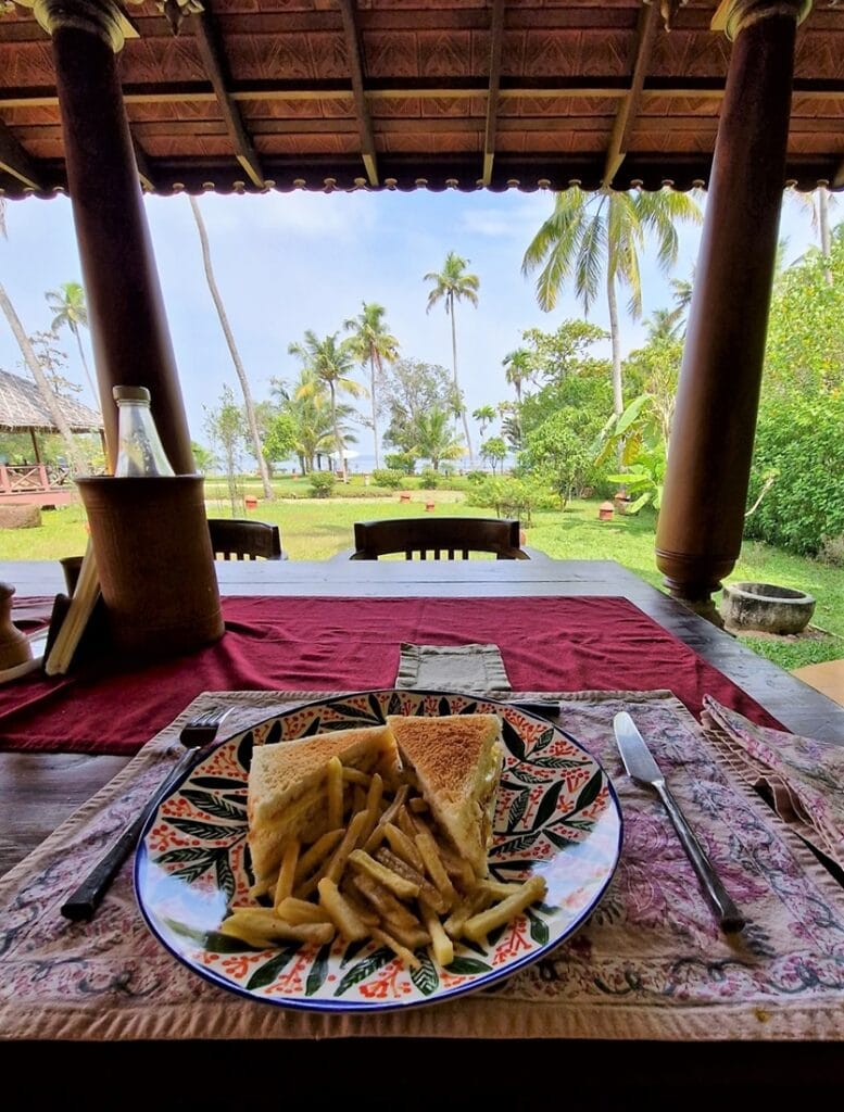 Ameya - Kohti avaraa maailmaa