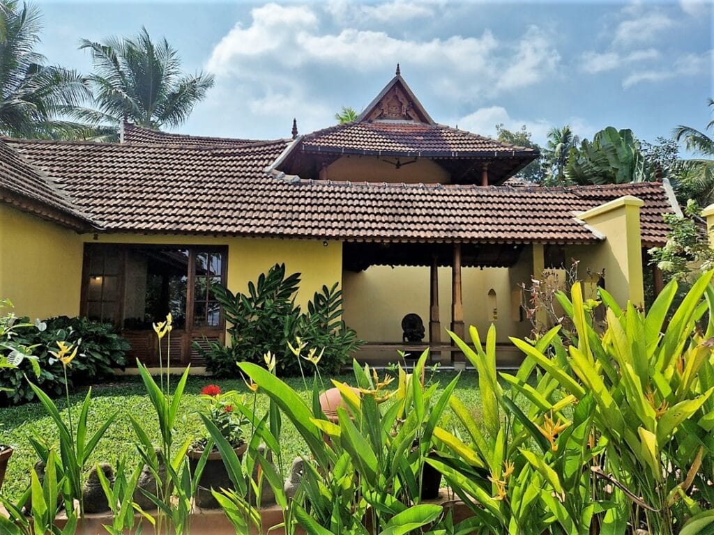 Ameya - Kohti avaraa maailmaa