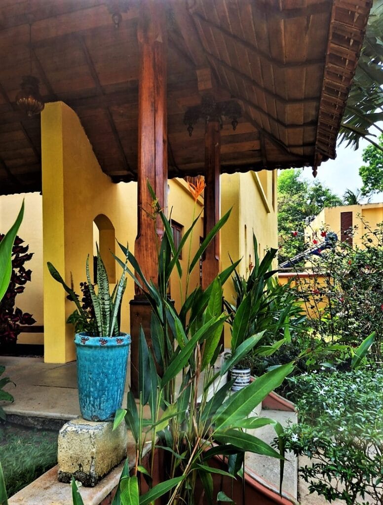 Ameya - Kohti avaraa maailmaa