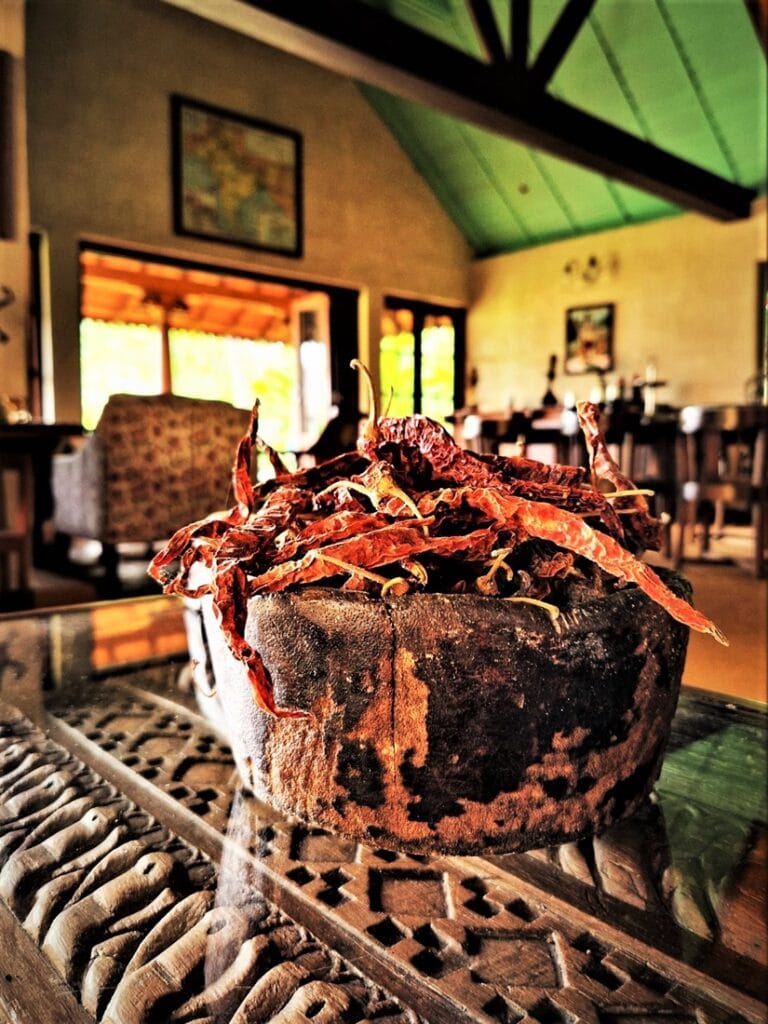 Ameya - Kohti avaraa maailmaa