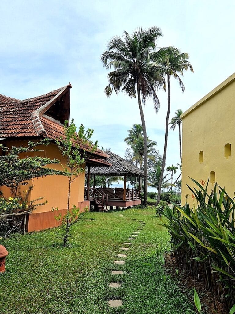 Ameya - Kohti avaraa maailmaa