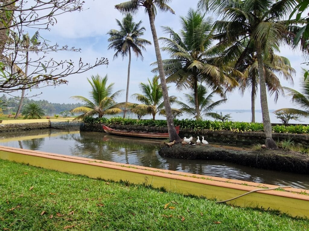 Ameya - Kohti avaraa maailmaa