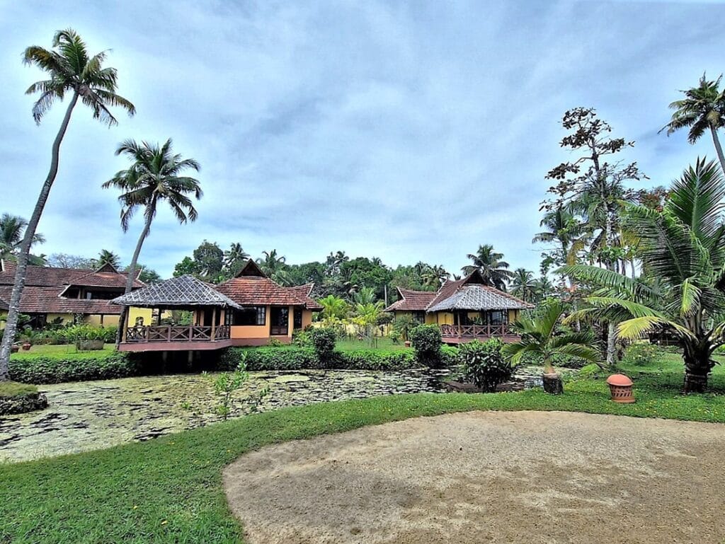 Ameya - Kohti avaraa maailmaa