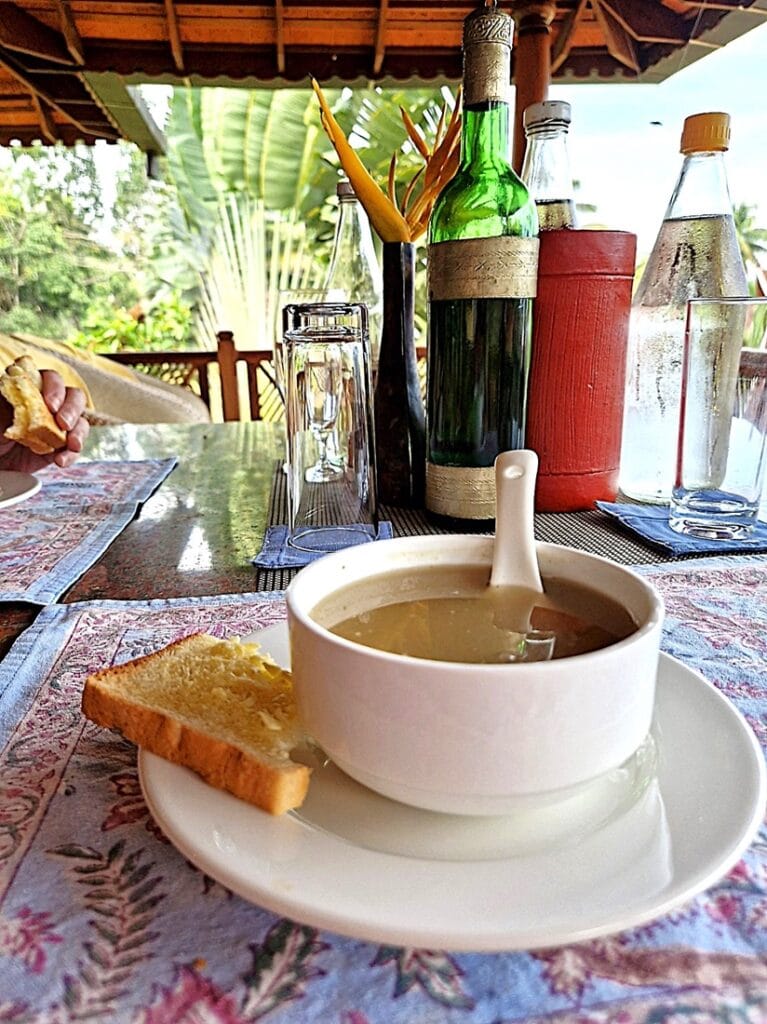 Ameya - Kohti avaraa maailmaa