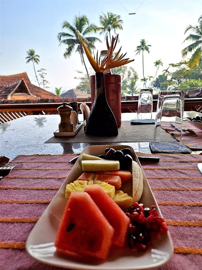 Endless Suite Ameya - Kohti avaraa maailmaa