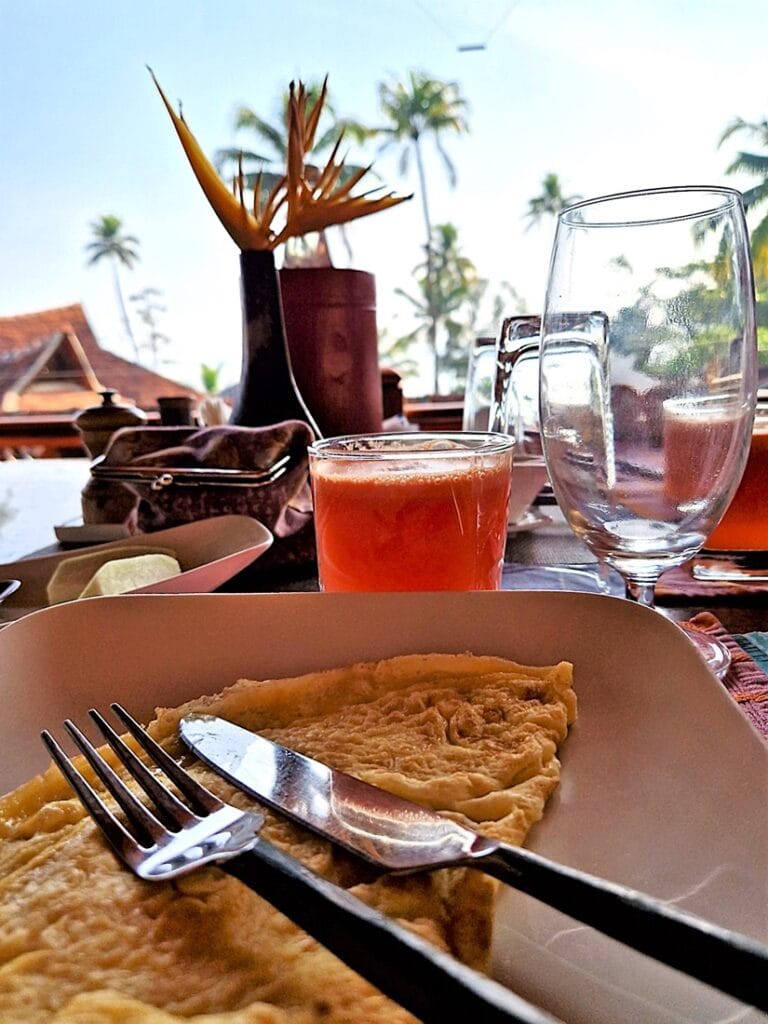 Ameya - Kohti avaraa maailmaa