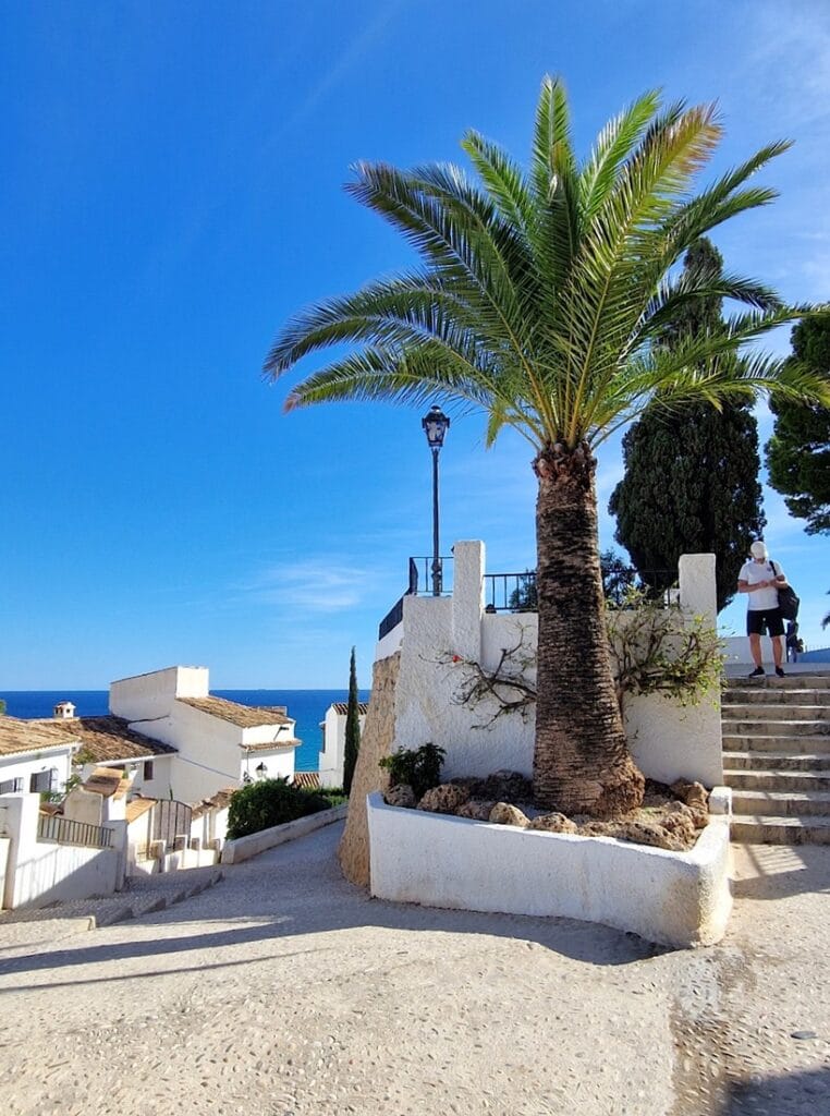 Altea - Kohti avaraa maailmaa