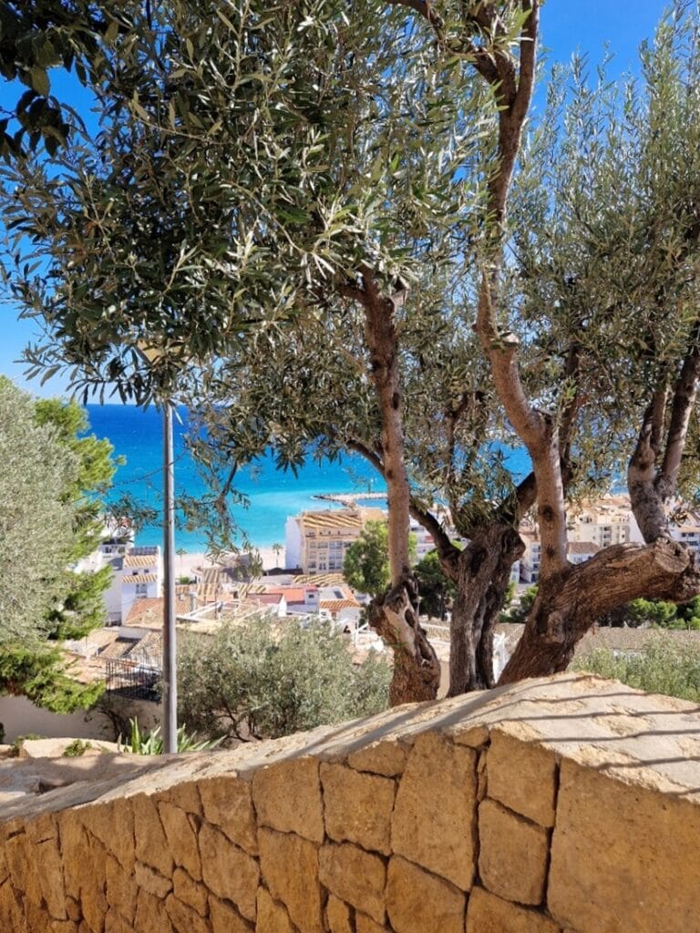 Altea - Kohti avaraa maailmaa