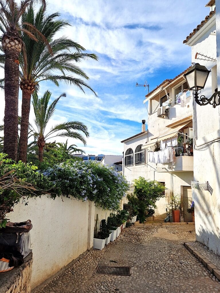 Altea - Kohti avaraa maailmaa