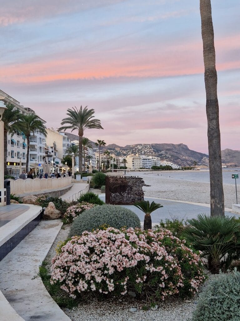 Altea - Kohti avaraa maailmaa