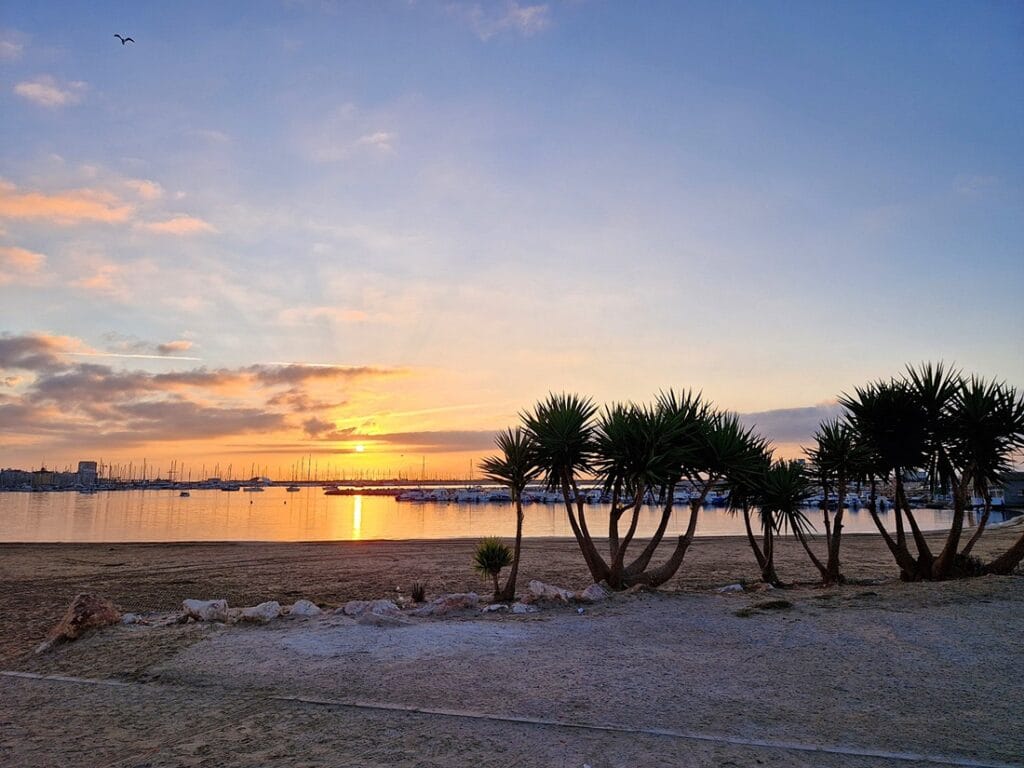 Altea - Kohti avaraa maailmaa