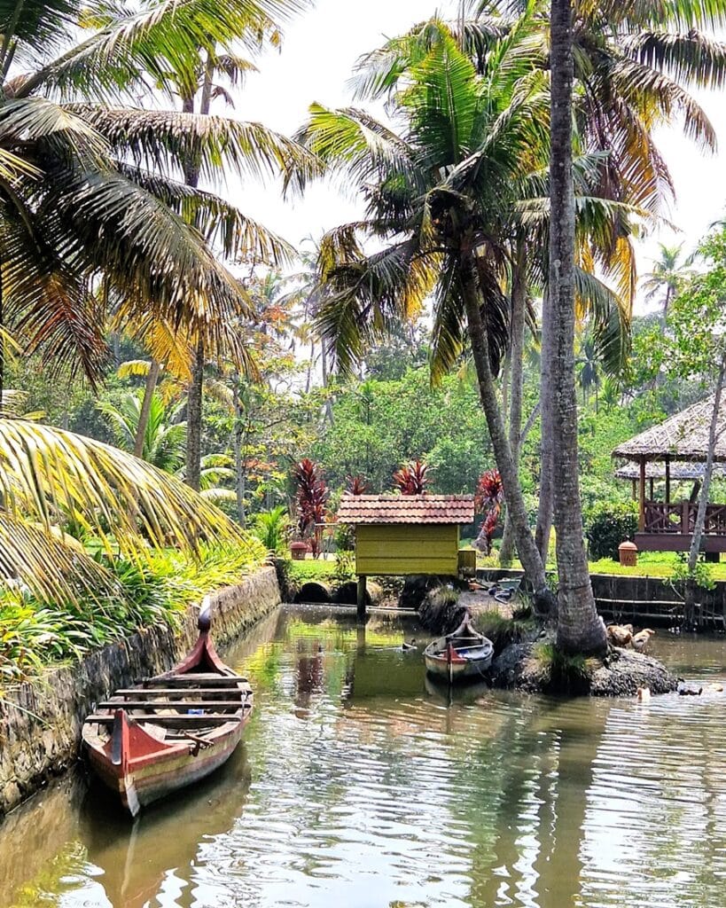 Ameya - Kohti avaraa maailmaa