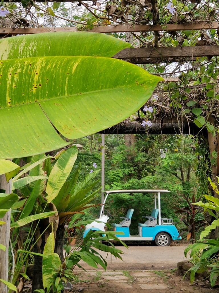 Angkor Botanical Garden - Kohti avaraa maailmaa