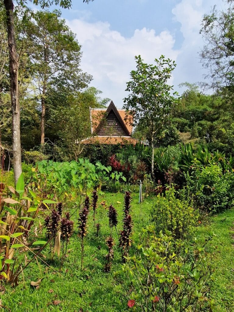 Angkor Botanical Garden - Kohti avaraa maailmaa