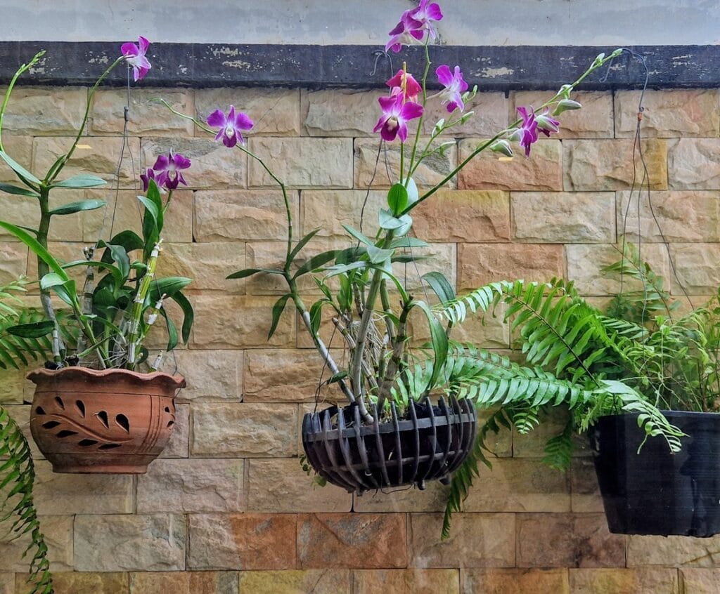 Homewood Hotel by Seuya Siem Reap - Kohti avaraa maailmaa