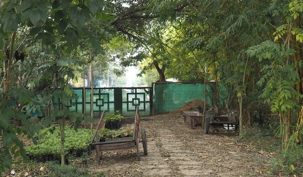 Angkor Botanical Garden - Kohti avaraa maailmaa