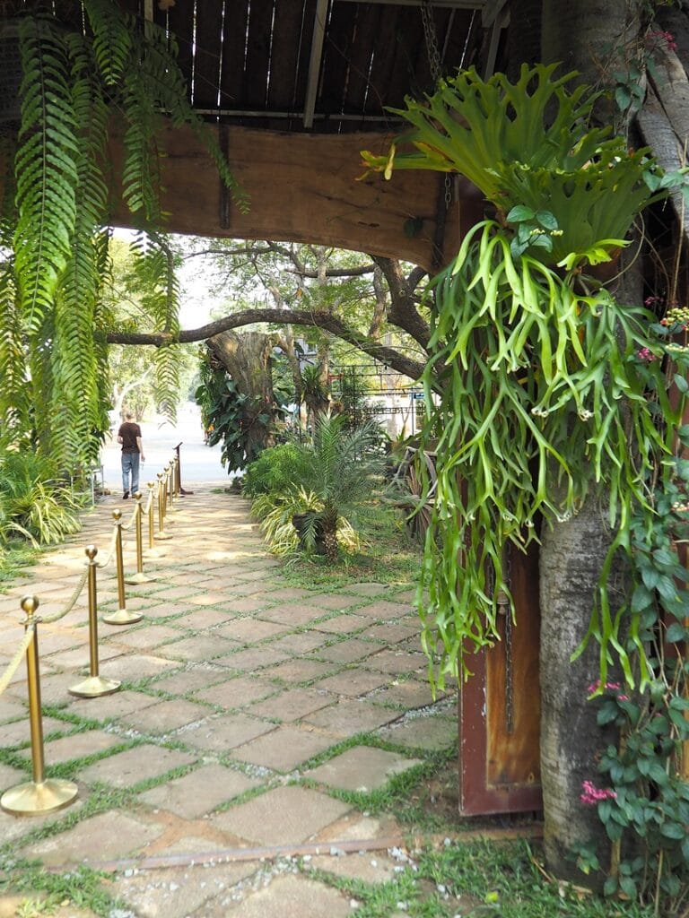 Angkor Botanical Garden - Kohti avaraa maailmaa