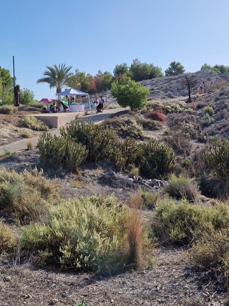 Rojalles - Kohti avaraa maailmaa