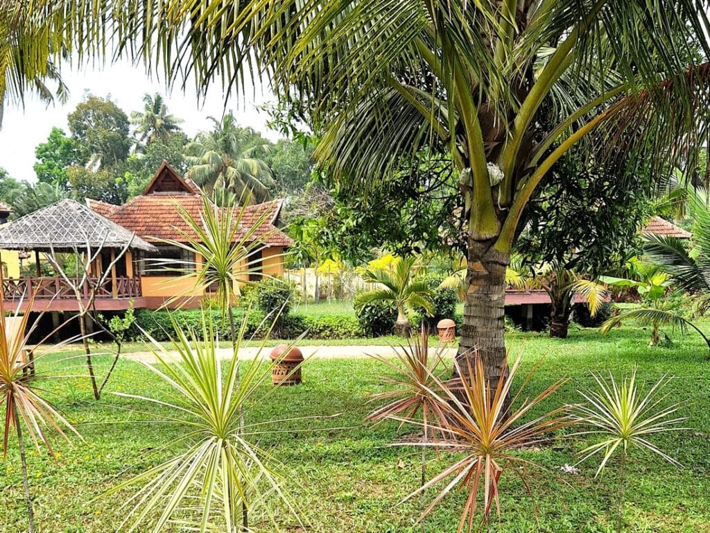 Ameya - Kohti avaraa maailmaa