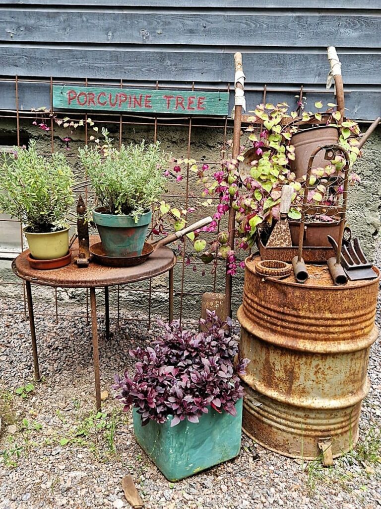 Oranssi Uni - Kohti avaraa maailmaa