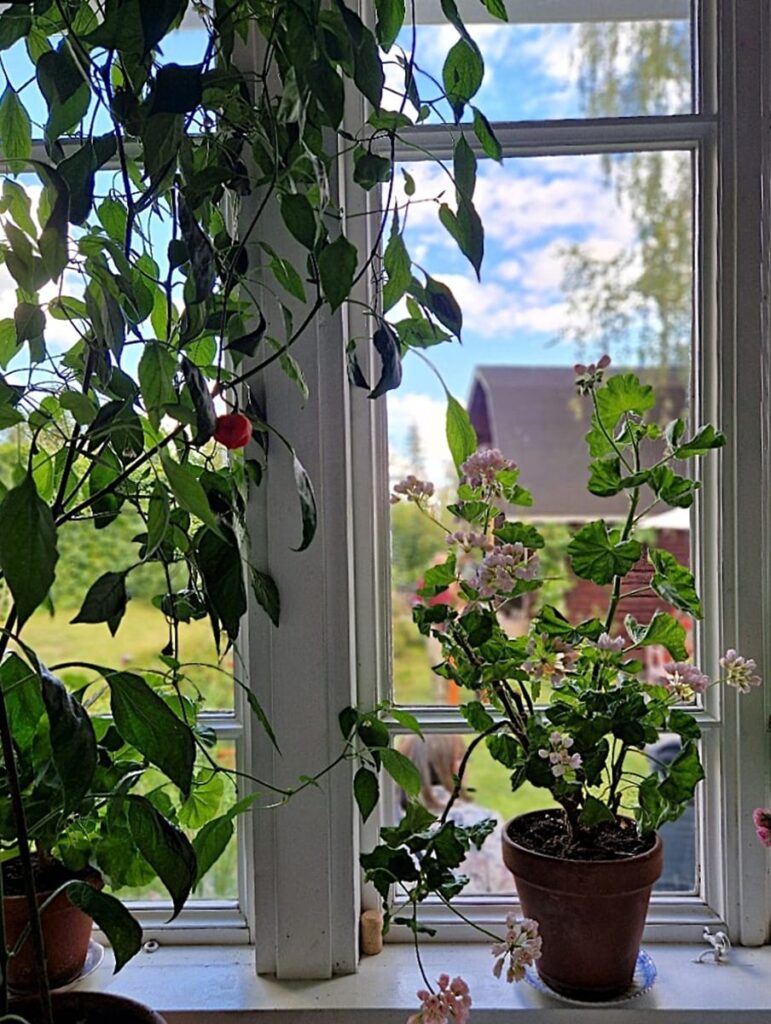 Kylän tarinat elävät - Tarinoiden Talot Kellokoskella