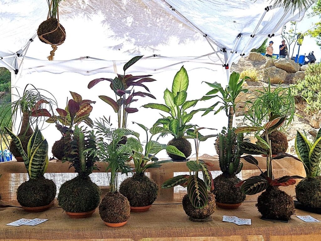 Luolataloista luontoon – Rojales ja El Recorral Espanjassa