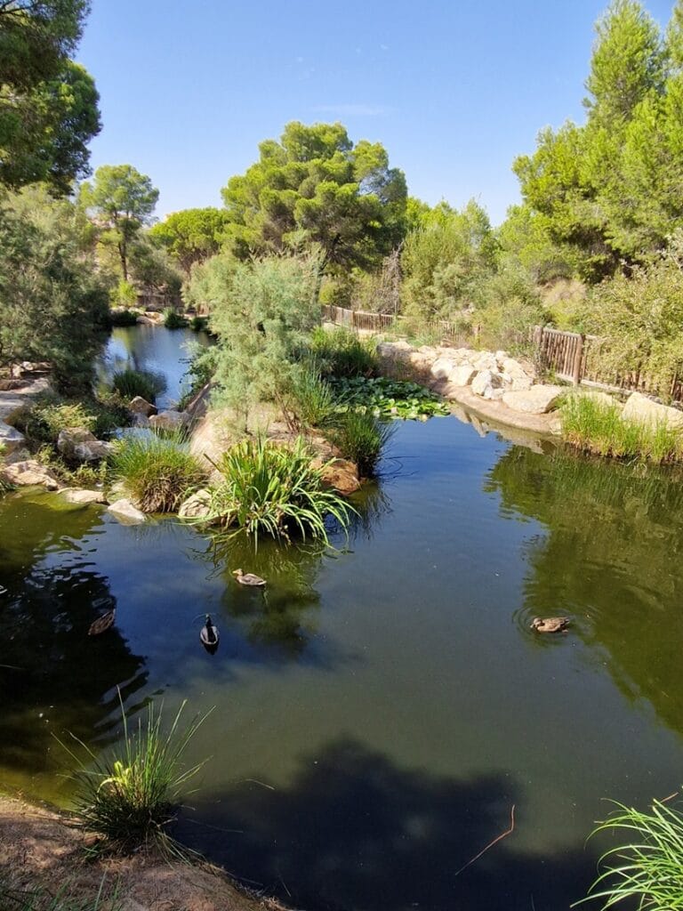 El Recorral - Kohti avaraa maailmaa