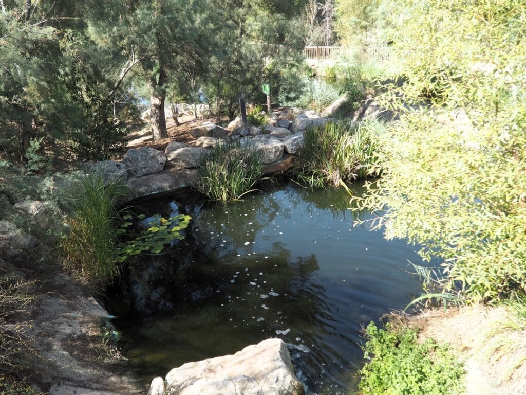 El Recorral - Kohti avaraa maailmaa