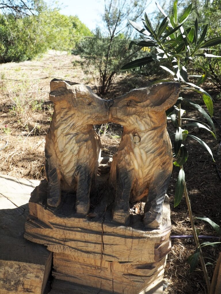 El Recorral - Kohti avaraa maailmaav