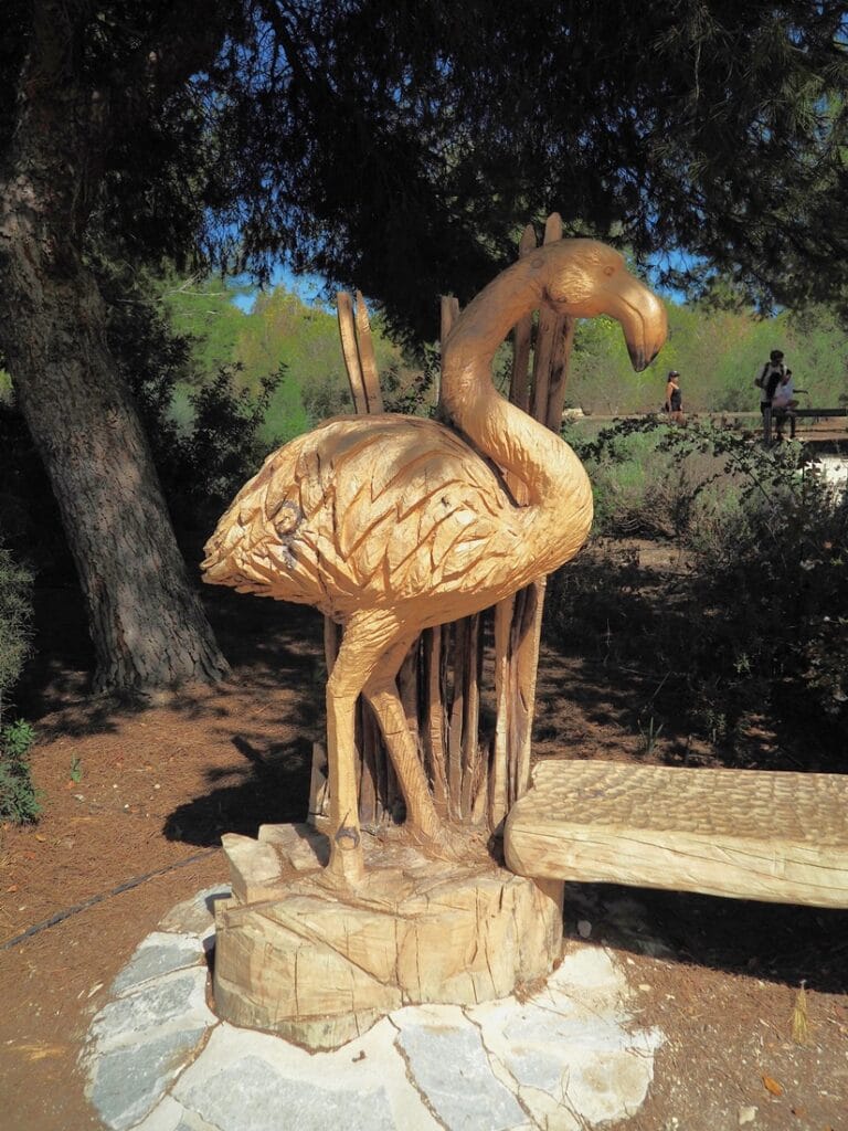 El Recorral - Kohti avaraa maailmaa