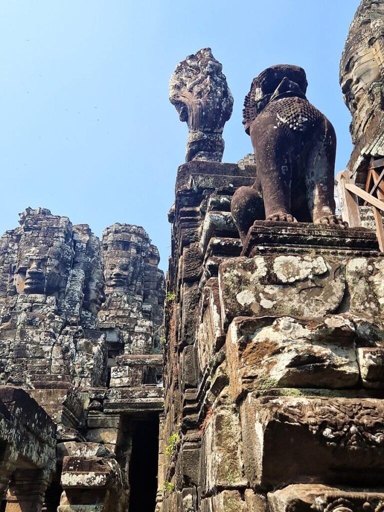 Bayon - Kohti avaraa maailmaa