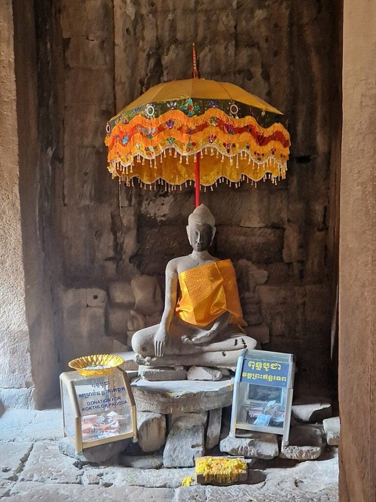 Bayon - Kohti avaraa maailmaa