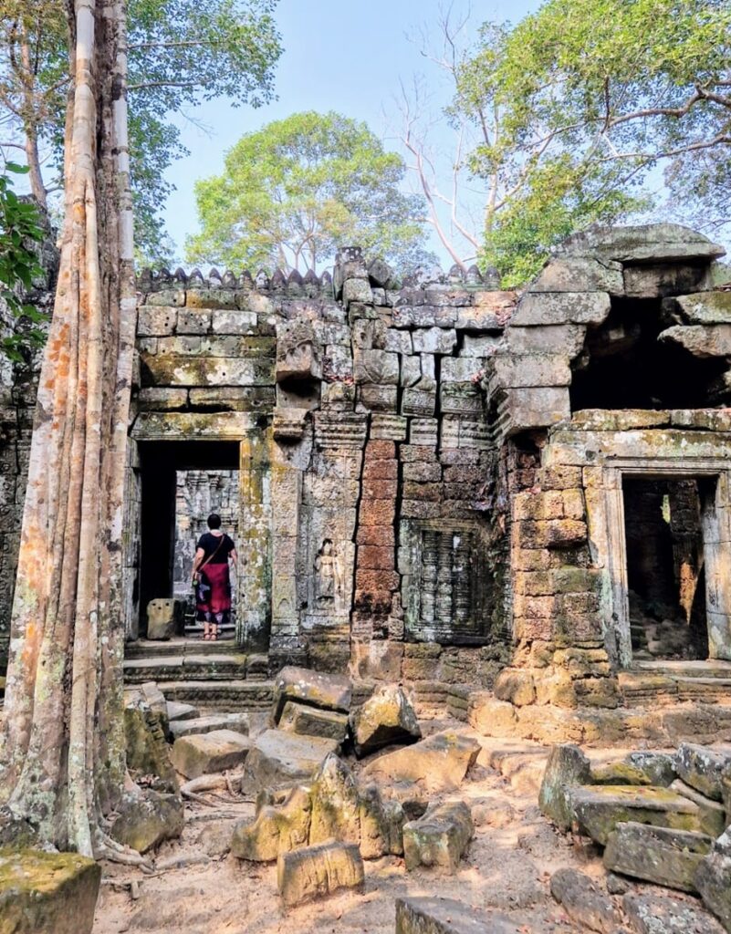 Ta Prohm - Kohti avaraa maailmaa