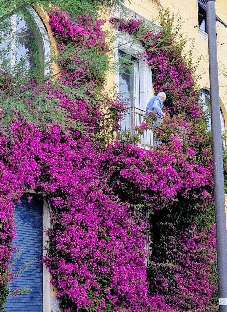 Monterosso - Kohti avaraa maailmaa