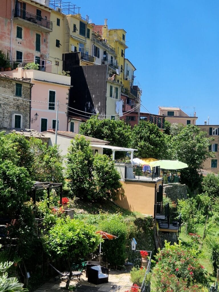 Corniglia - Kohti avaraa maailmaa