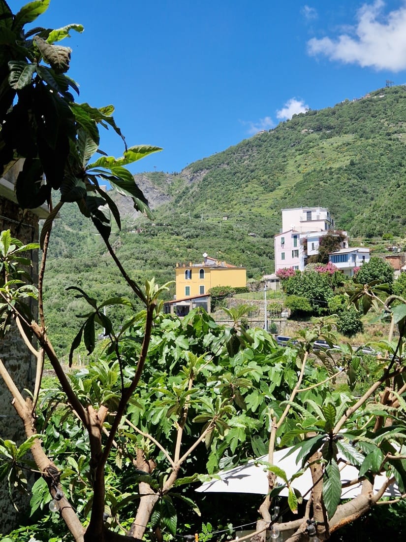 Corniglia - Kohti avaraa maailmaa
