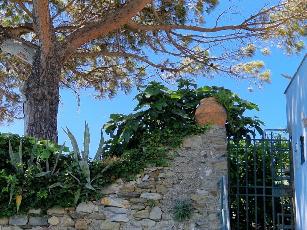 Corniglia - Kohti avaraa maailmaa