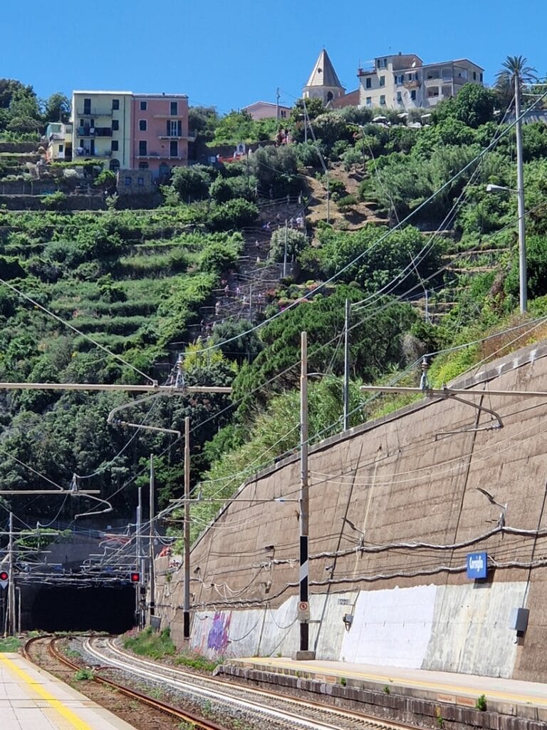 Corniglia - Kohti avaraa maailmaa@media (min-width: 1025px){ /* Gutenberg-kuvablokit */ .single-post .entry-content .wp-block-image, .single-post .entry-content figure.wp-block-image, .single-post .entry-content .wp-block-image.alignfull, .single-post .entry-content .wp-block-image.alignwide, .single-post .entry-content figure.wp-block-image.alignfull, .single-post .entry-content figure.wp-block-image.alignwide { width: auto !important; max-width: 100% !important; /* sama leveys kuin tekstipalstalla */ margin-left: 0 !important; margin-right: 0 !important; } /* Varmistus myös suoraan kuville + Elementor-kuville */ .single-post .entry-content img, .single-post .entry-content .elementor-widget-image img { display: block !important; max-width: 100% !important; height: auto !important; } }