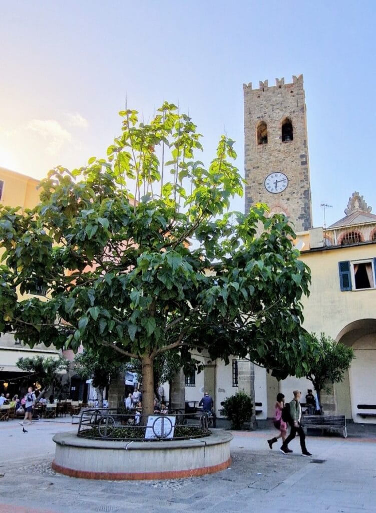 Monterosso - Kohti avaraa maailmaa