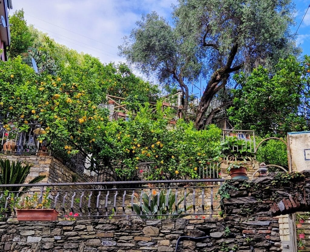 Monterosso - Kohti avaraa maailmaa