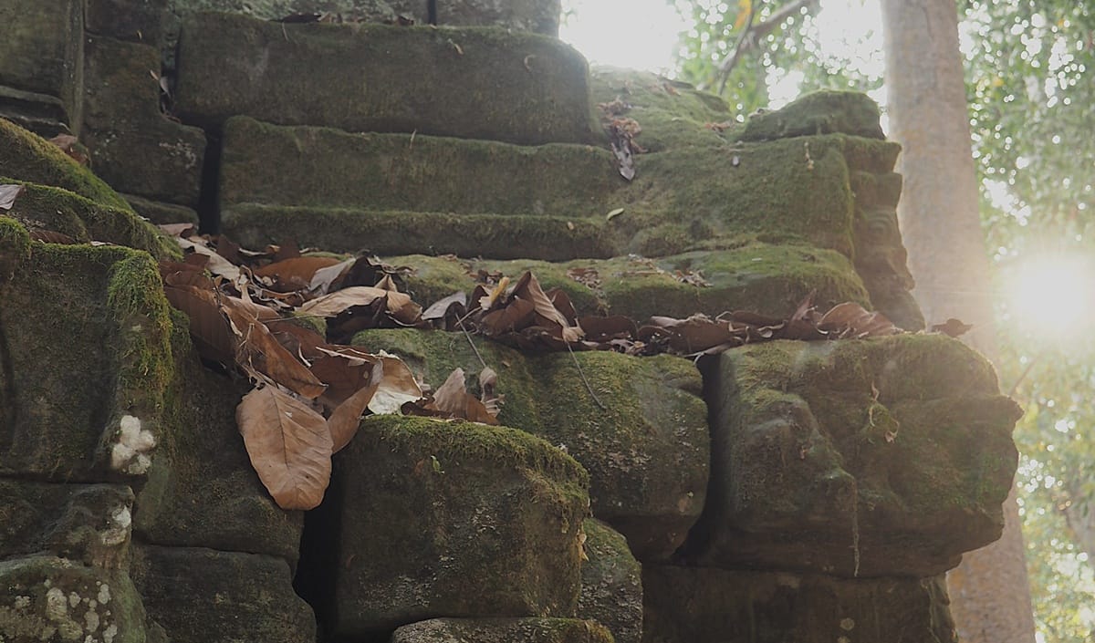 Ta Prohm - Kohti avaraa maailmaa
