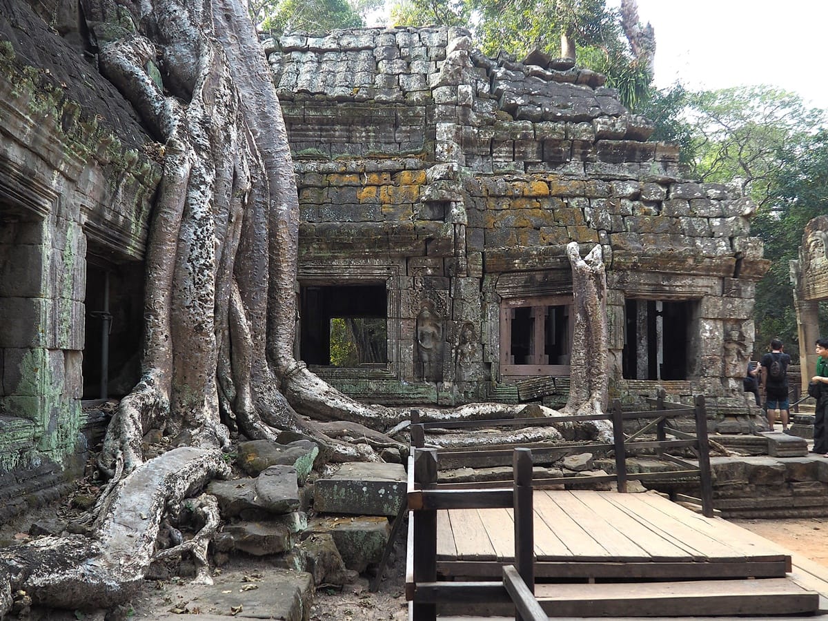 Ta Prohm - Kohti avaraa maailmaa
