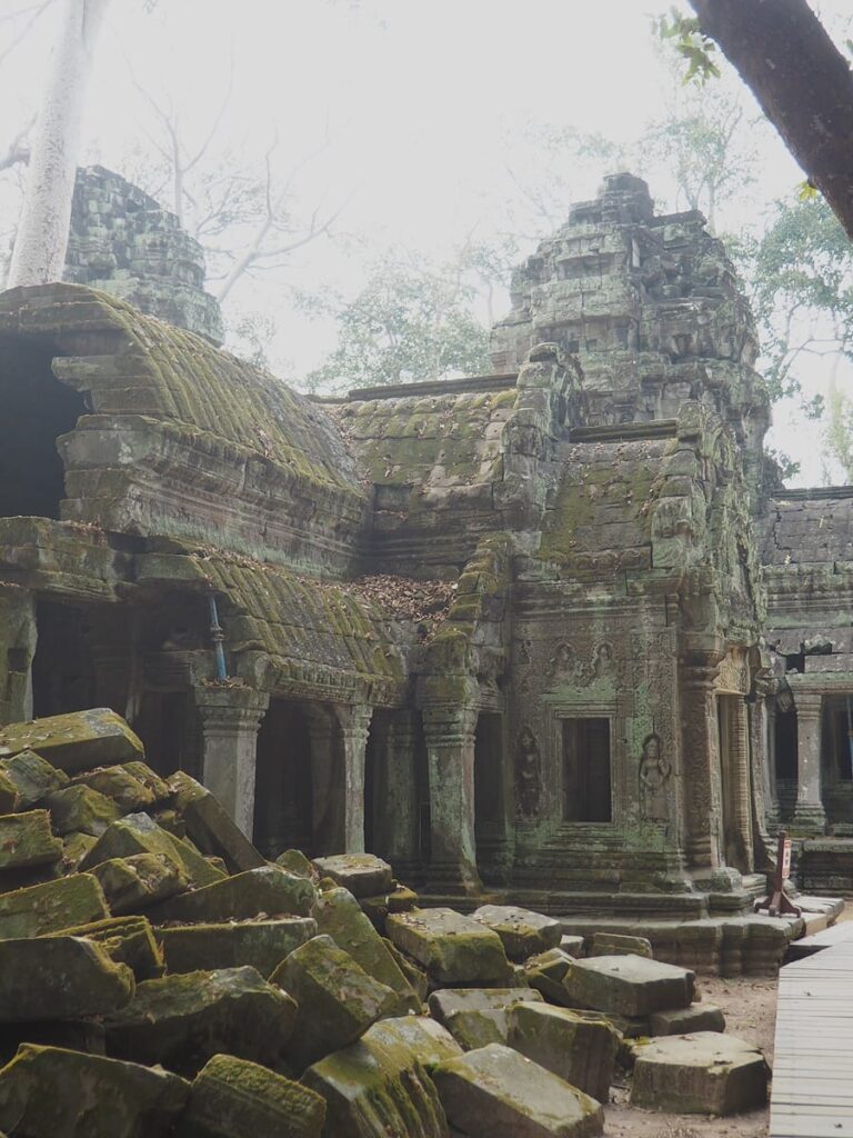 Ta Prohm - Kohti avaraa maailmaa