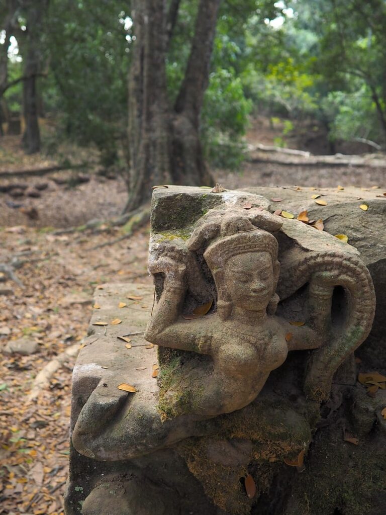 Ta Prohm - Kohti avaraa maailmaa