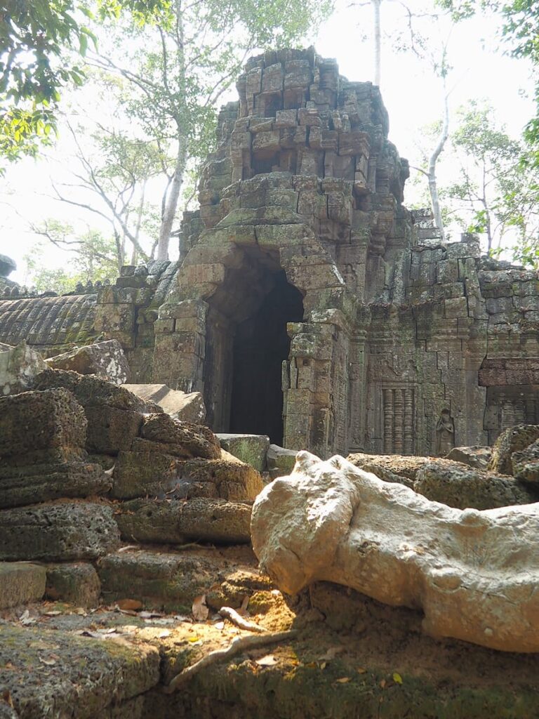Ta Prohm - Kohti avaraa maailmaa