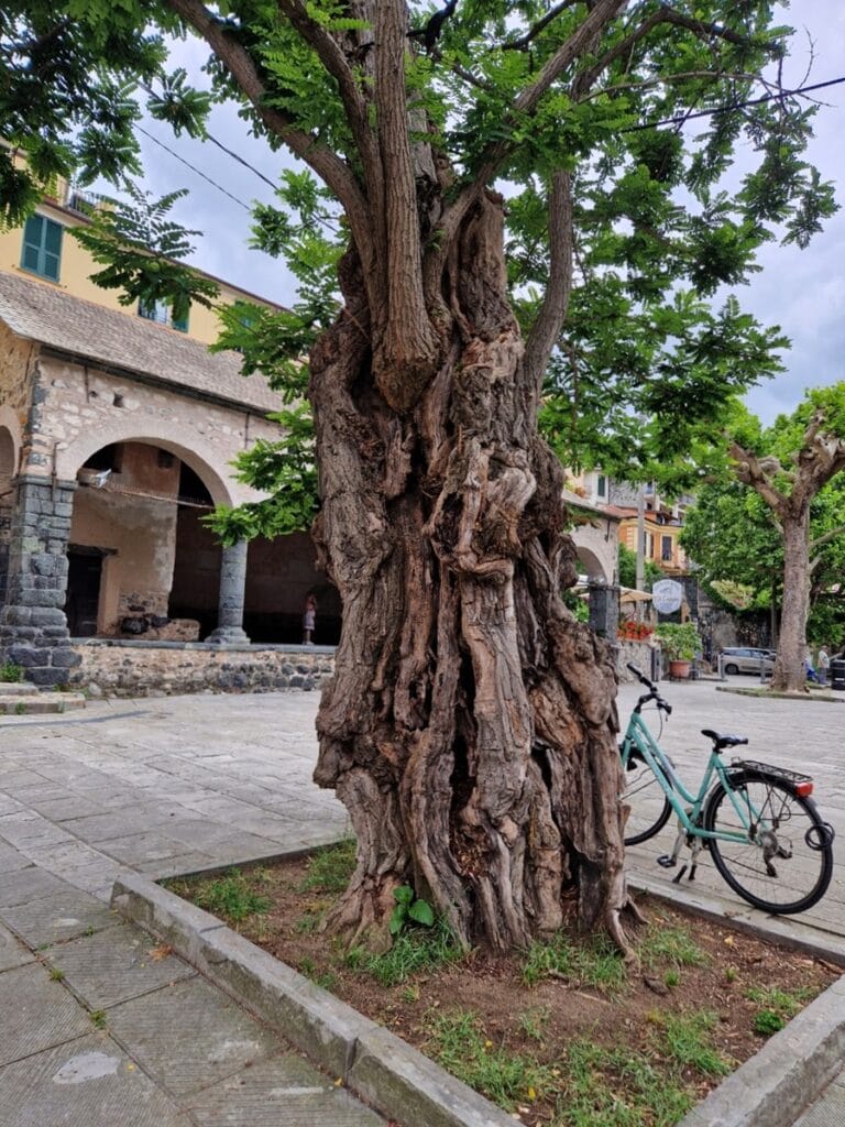 Loggia Comunalea Levanto - Kohti avaraa maailmaa