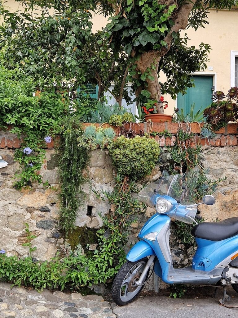 Levanto - Kohti avaraa maailmaa